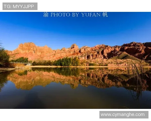 高原之巅的绿茵传奇藏族足球球星奋战草原逐梦荣耀时刻